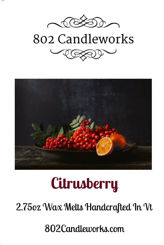 Christmas Season Wax Melts